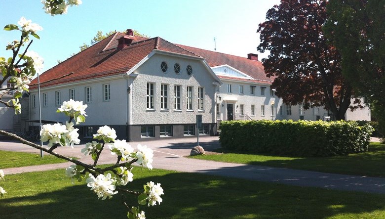 Vara folkhögskola med en gren av blommande träd i förgrunden.