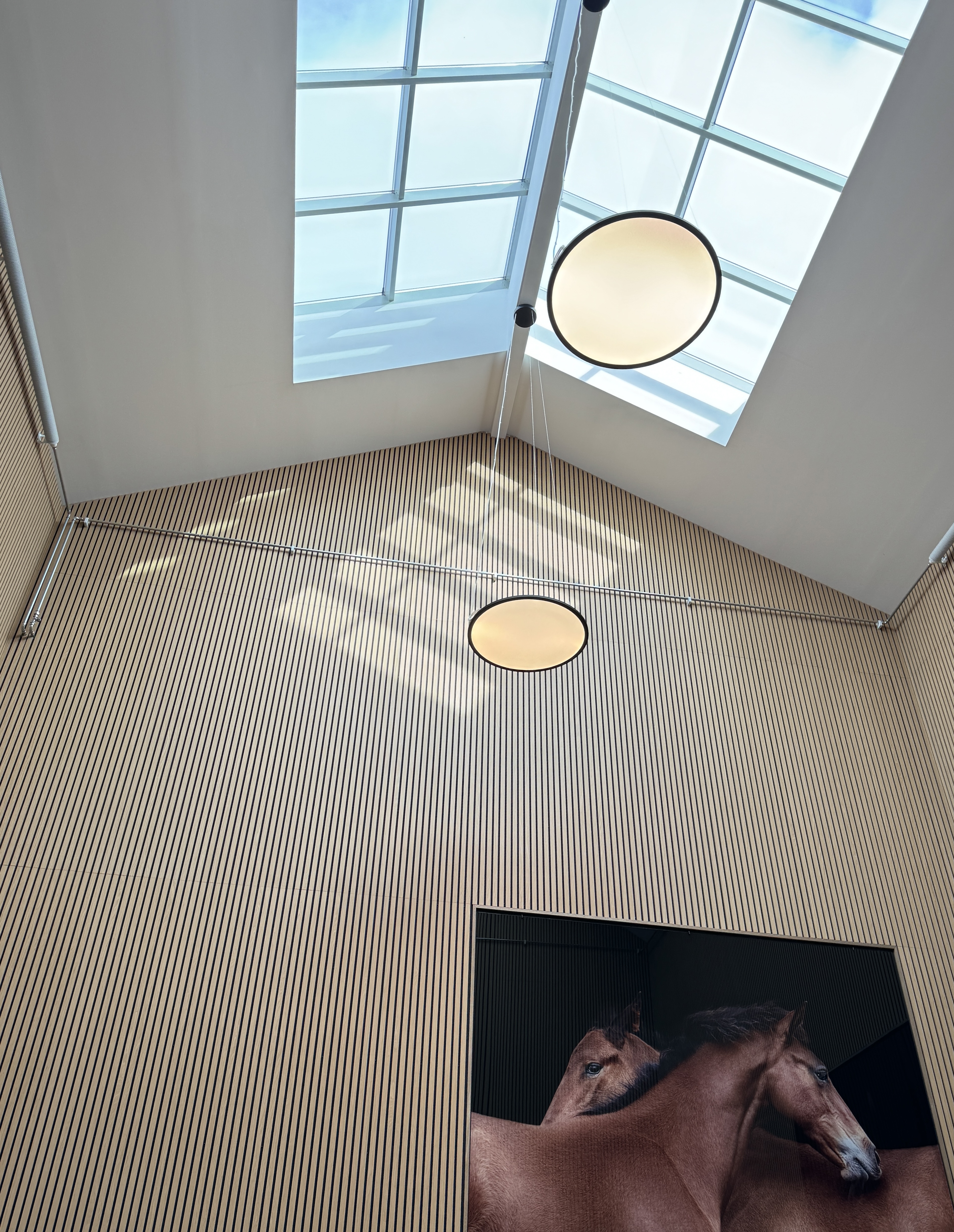 Ett takfönster som visar ljusinsläppet till en ljusgård.