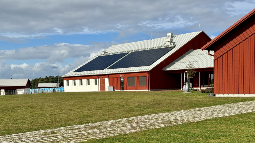 Röda byggnader med gräsytor framför.