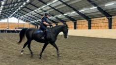 En ryttare på en svartbrun häst i en manege.