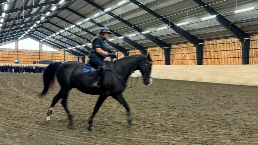 En ryttare på en svartbrun häst i en manege.