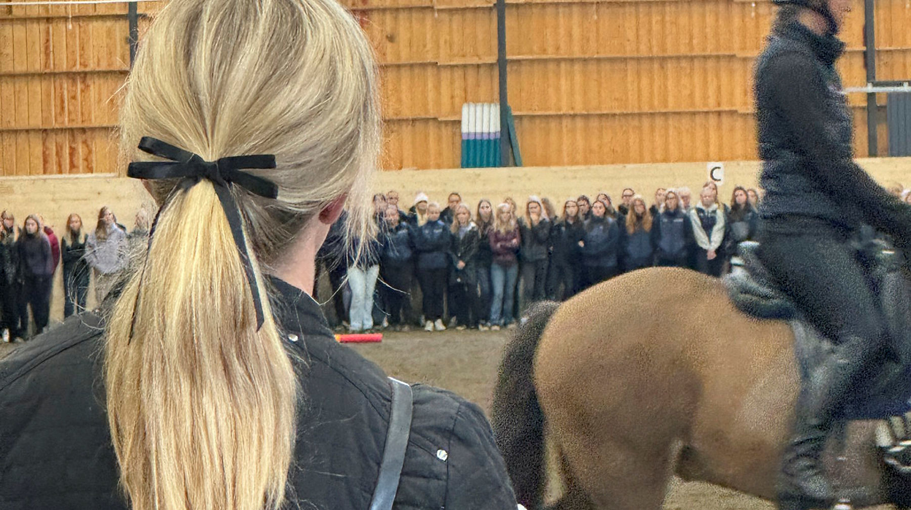 En kvinna står och tittar mot en häst och en stor grupp med elever från Axevalla hästcentrum.