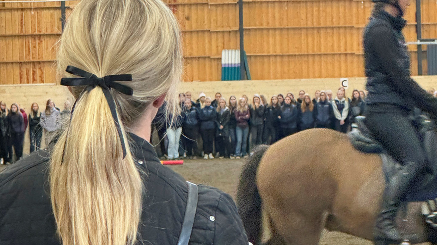 En kvinna står och tittar mot en häst och en stor grupp med elever från Axevalla hästcentrum.
