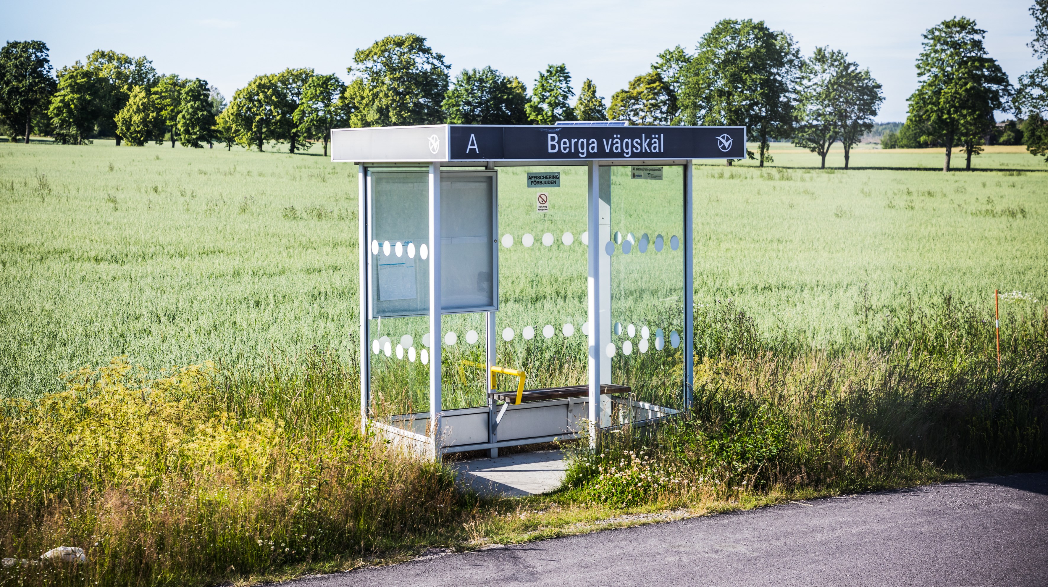Busskur vid en landsväg