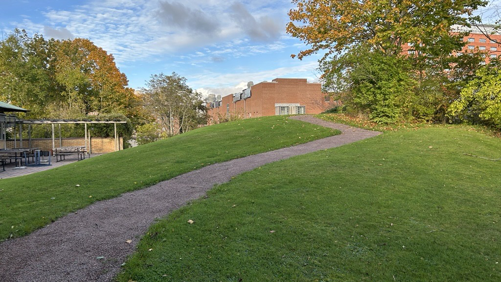 En grusad gångbana slingrar sig uppåt på en grästäkt kulle.