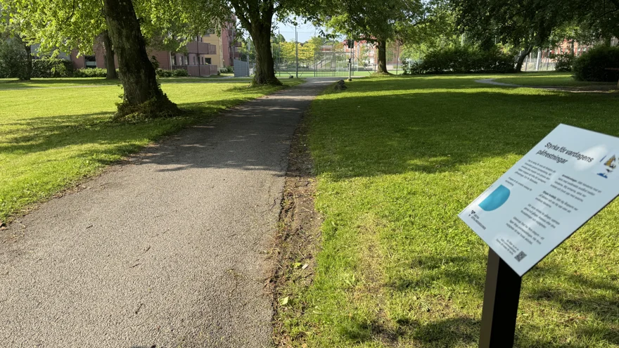 Gångväg mellan två gräsmattor.