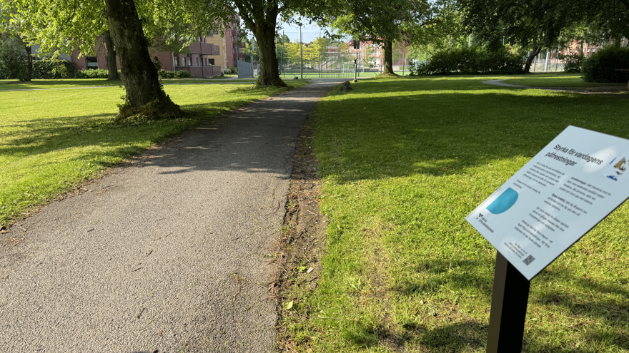 Gångväg mellan två gräsmattor.